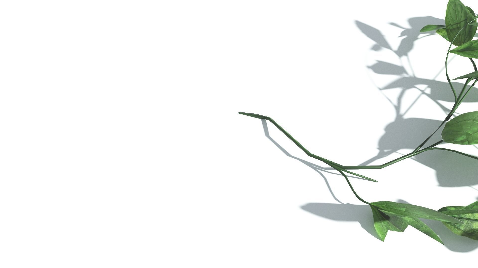 EVERYPlant Beach Morning Glory LowPoly 1 --14 Models-- Low-poly 3D model_24