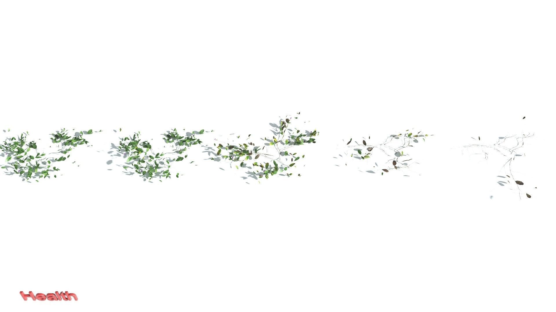 EVERYPlant Beach Morning Glory LowPoly 1 --14 Models-- Low-poly 3D model_1