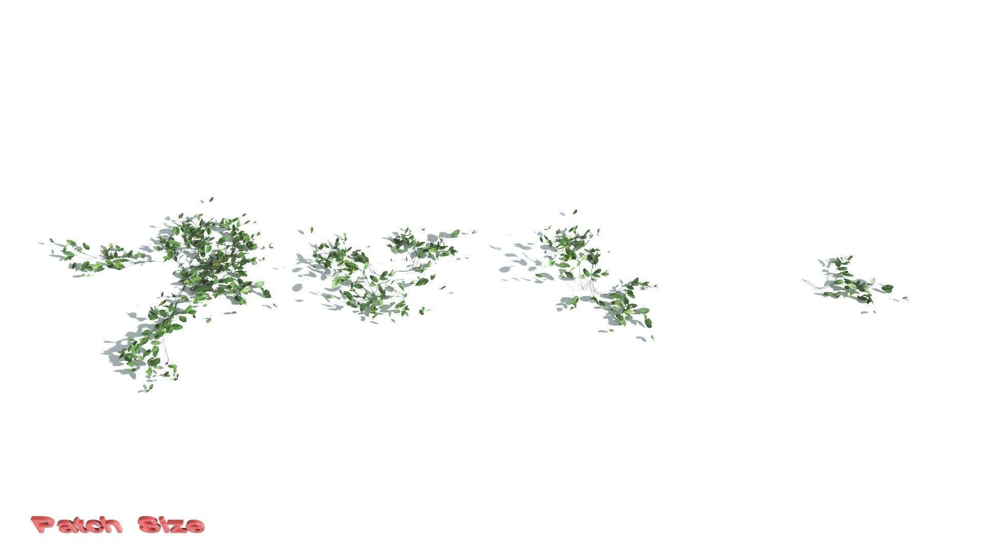 EVERYPlant Beach Morning Glory LowPoly 1 --14 Models-- Low-poly 3D model_3