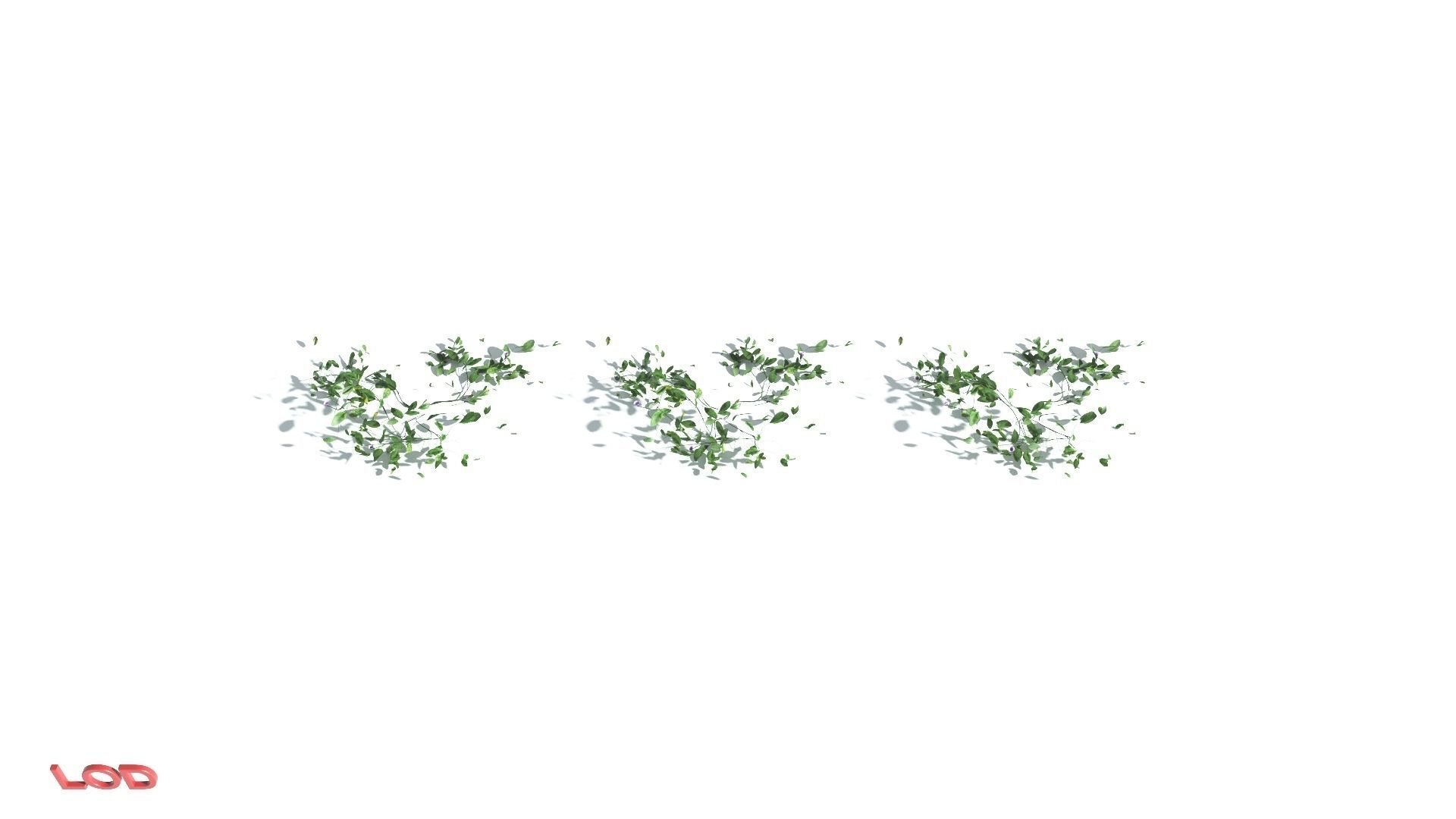 EVERYPlant Beach Morning Glory LowPoly 1 --14 Models-- Low-poly 3D model_4