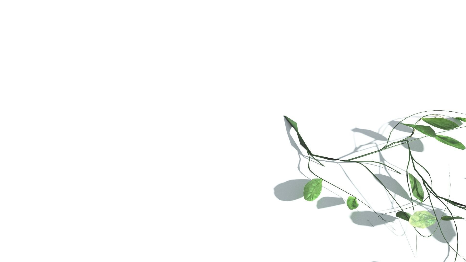 EVERYPlant Beach Morning Glory LowPoly 1 --14 Models-- Low-poly 3D model_22