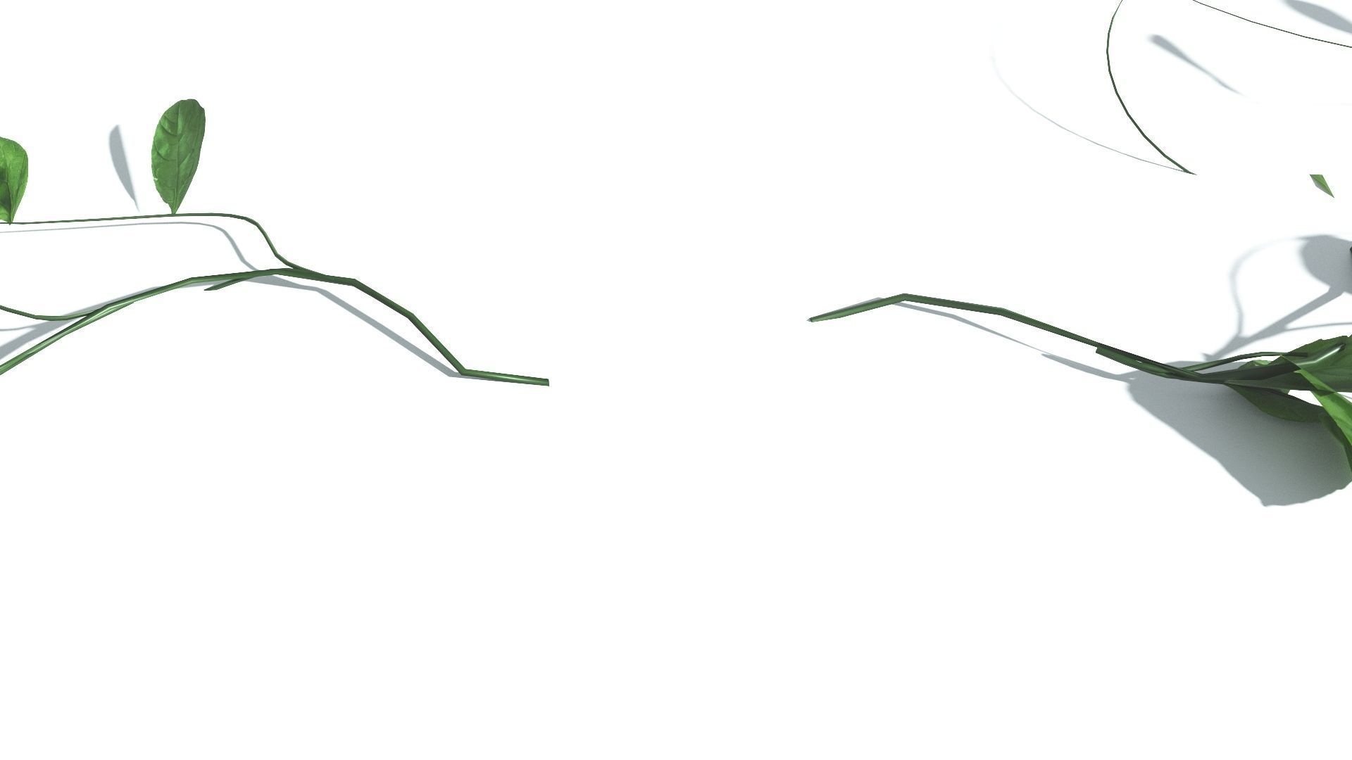 EVERYPlant Beach Morning Glory LowPoly 1 --14 Models-- Low-poly 3D model_20