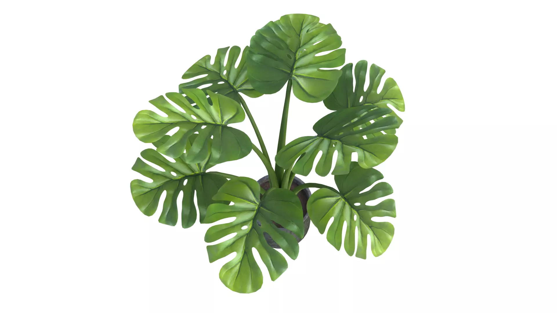 plastic plant pots free Free 3D model