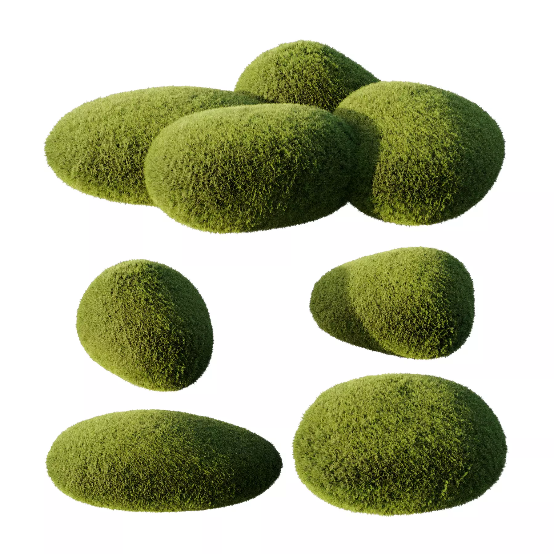 topiary plant 3D model_0