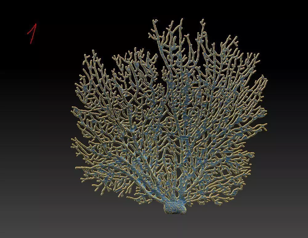 fire coral 3D print model
