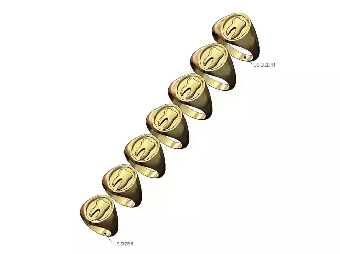 Tooth dentist oval signet ring US sizes 5to11
