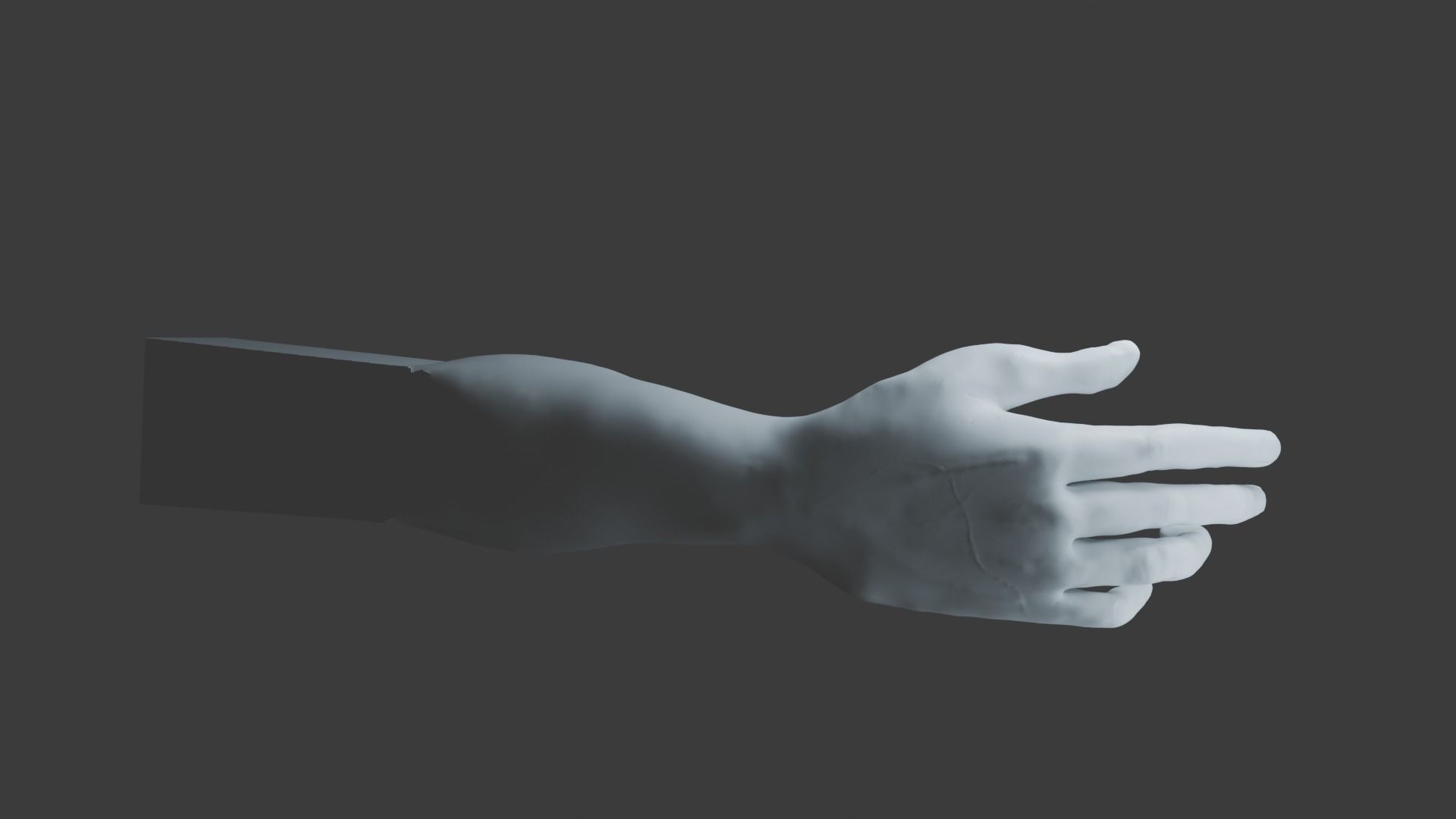 a man hand 3D model_10