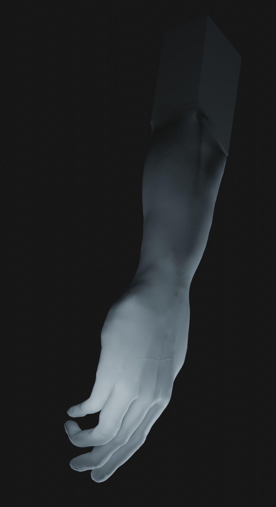 a man hand 3D model_8