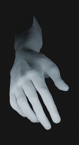 a man hand 3D model