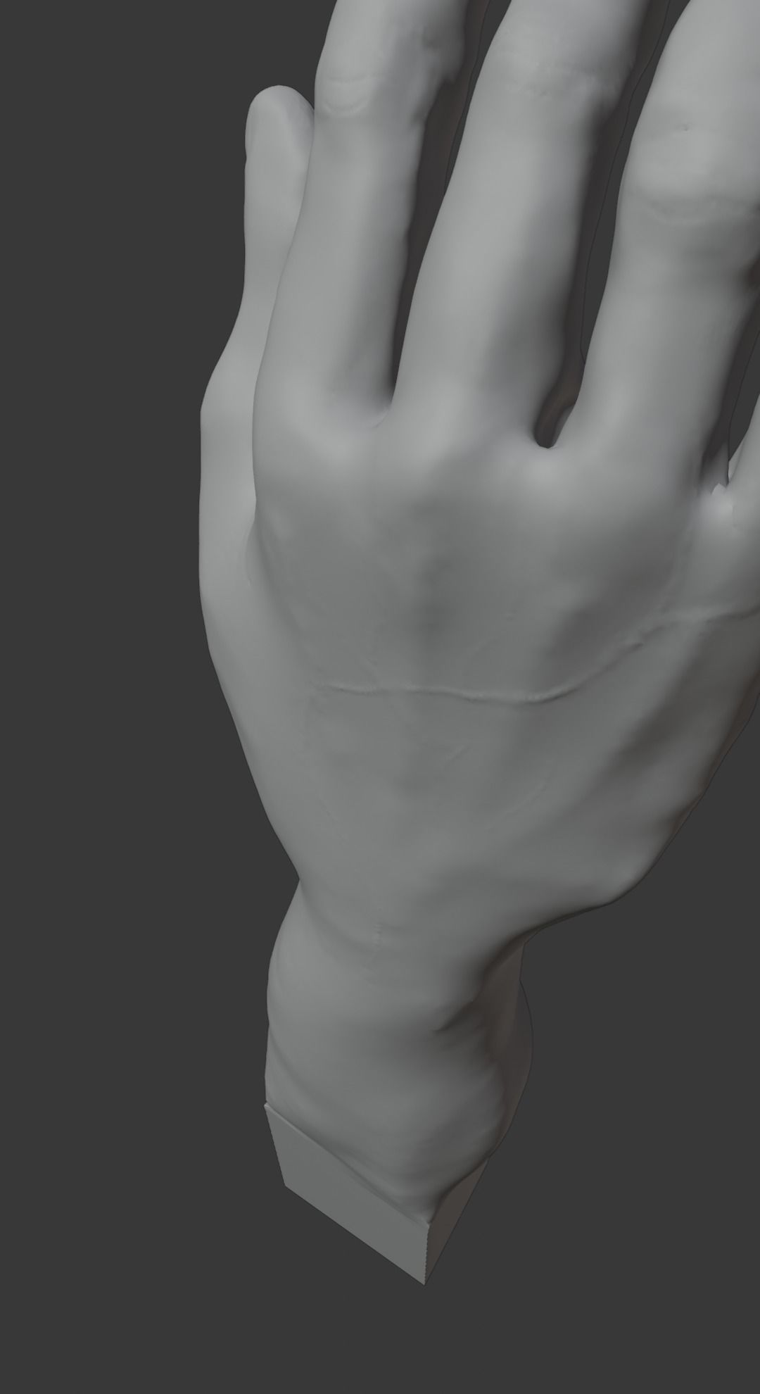 a man hand 3D model_19