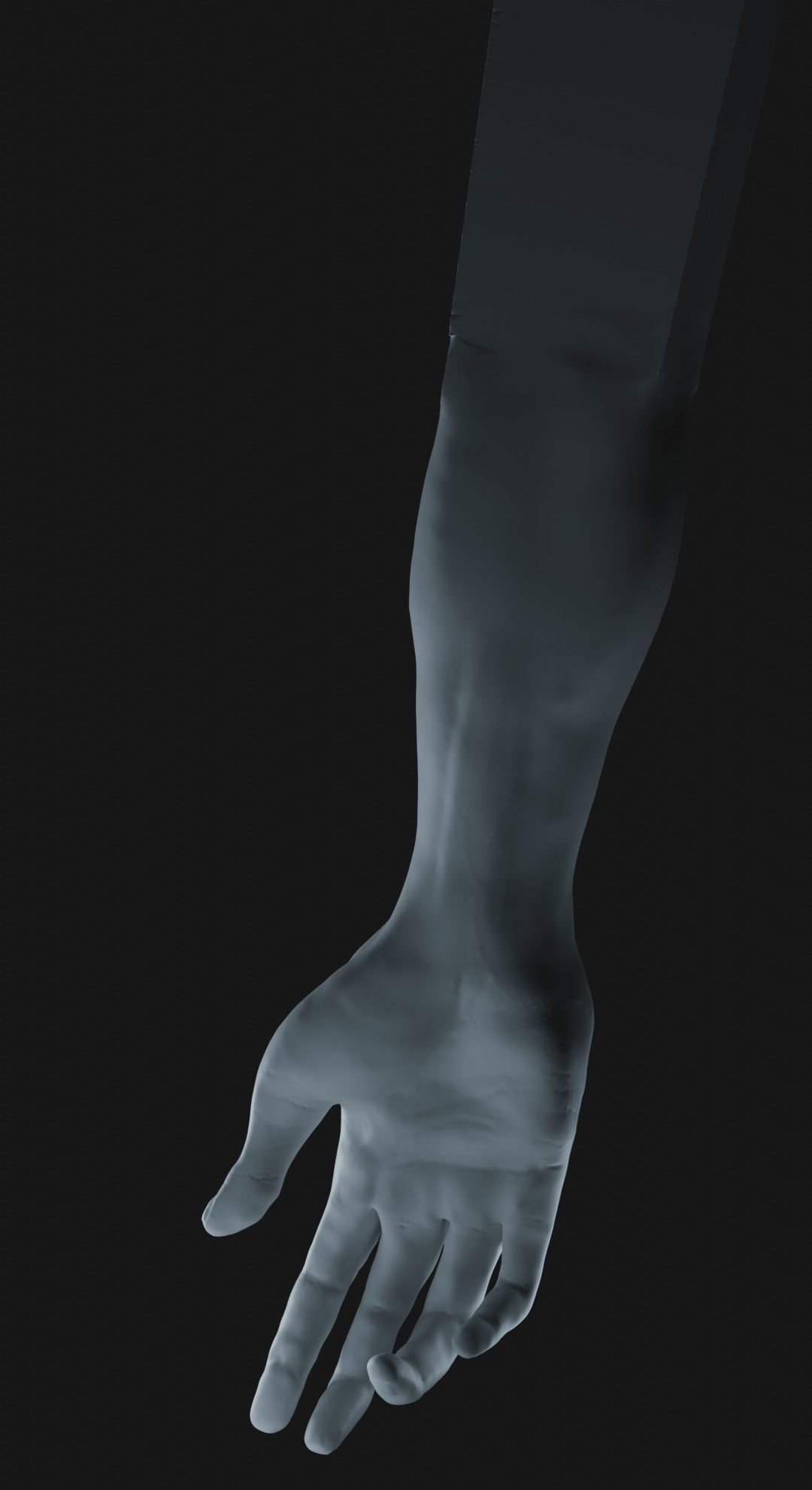 a man hand 3D model_3