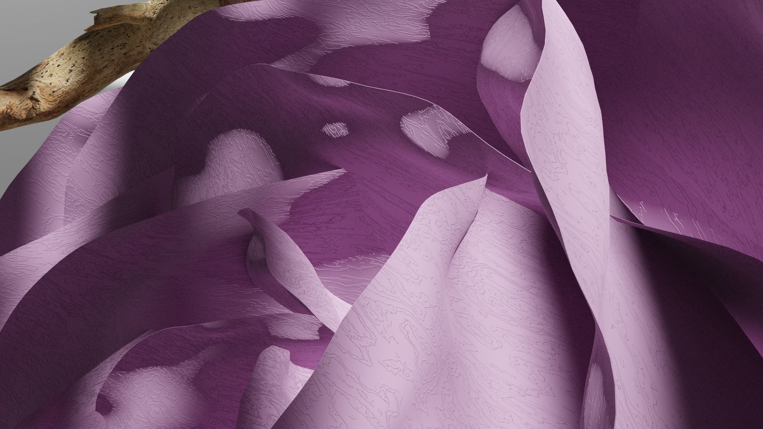 Blooming Rose Animation 3D model_4