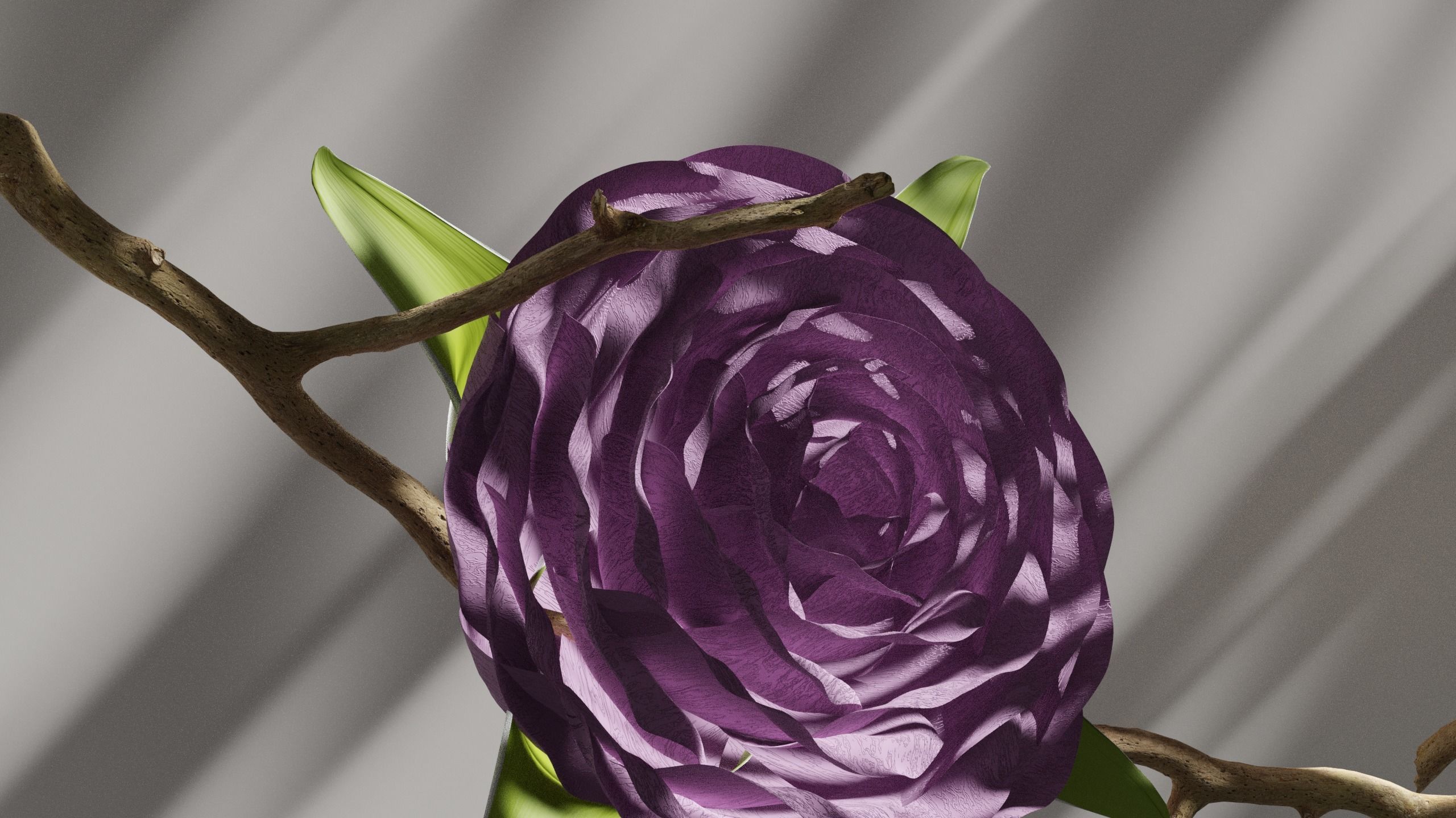 Blooming Rose Animation 3D model_11