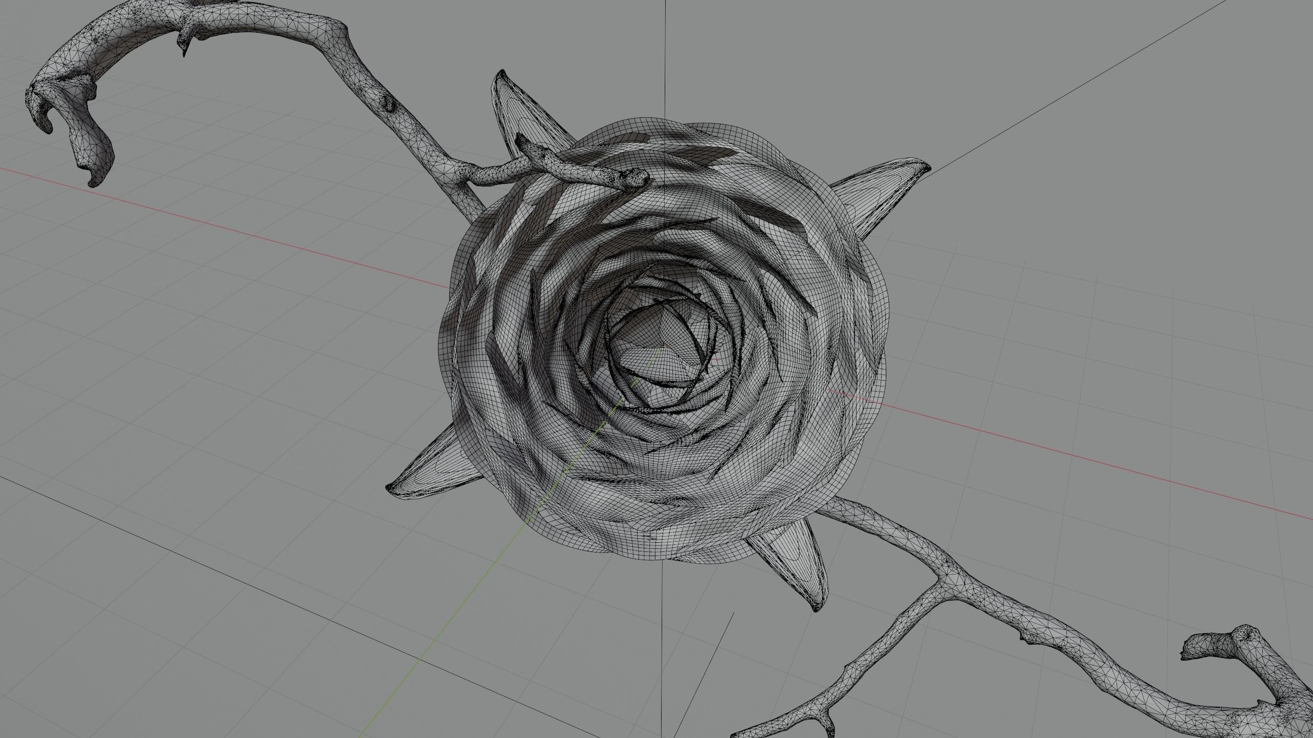 Blooming Rose Animation 3D model_6