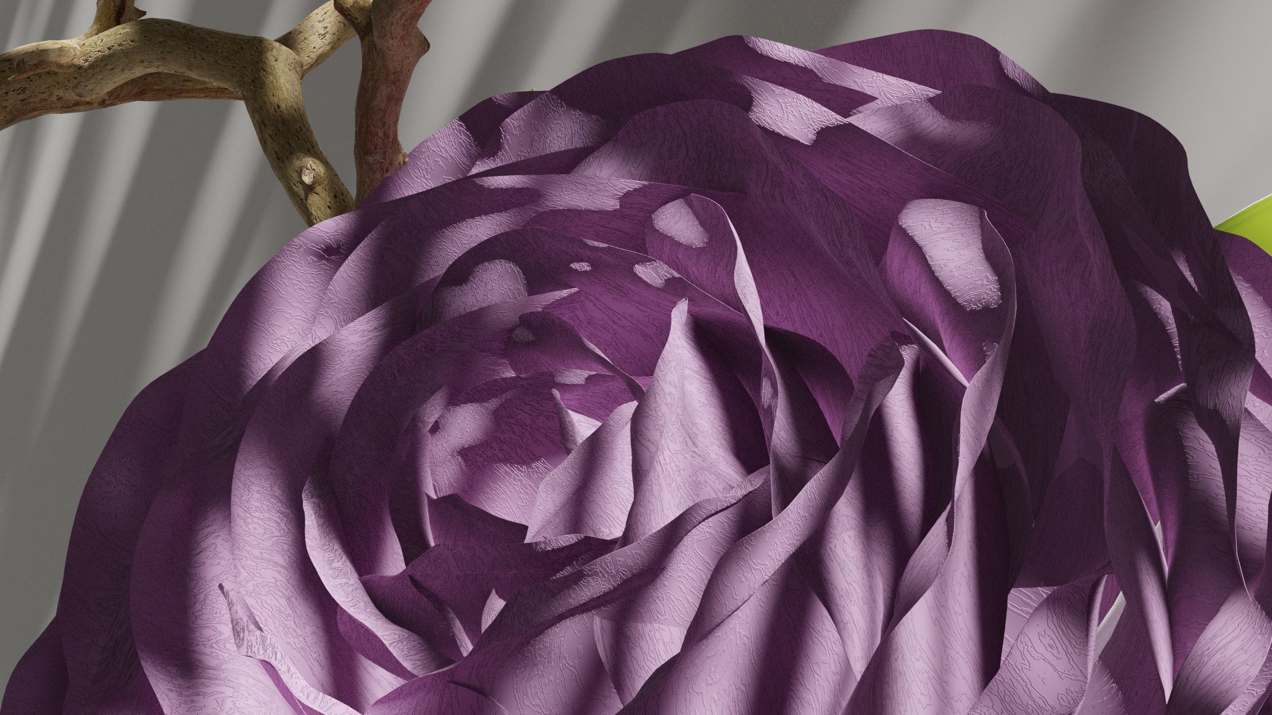 Blooming Rose Animation 3D model_3