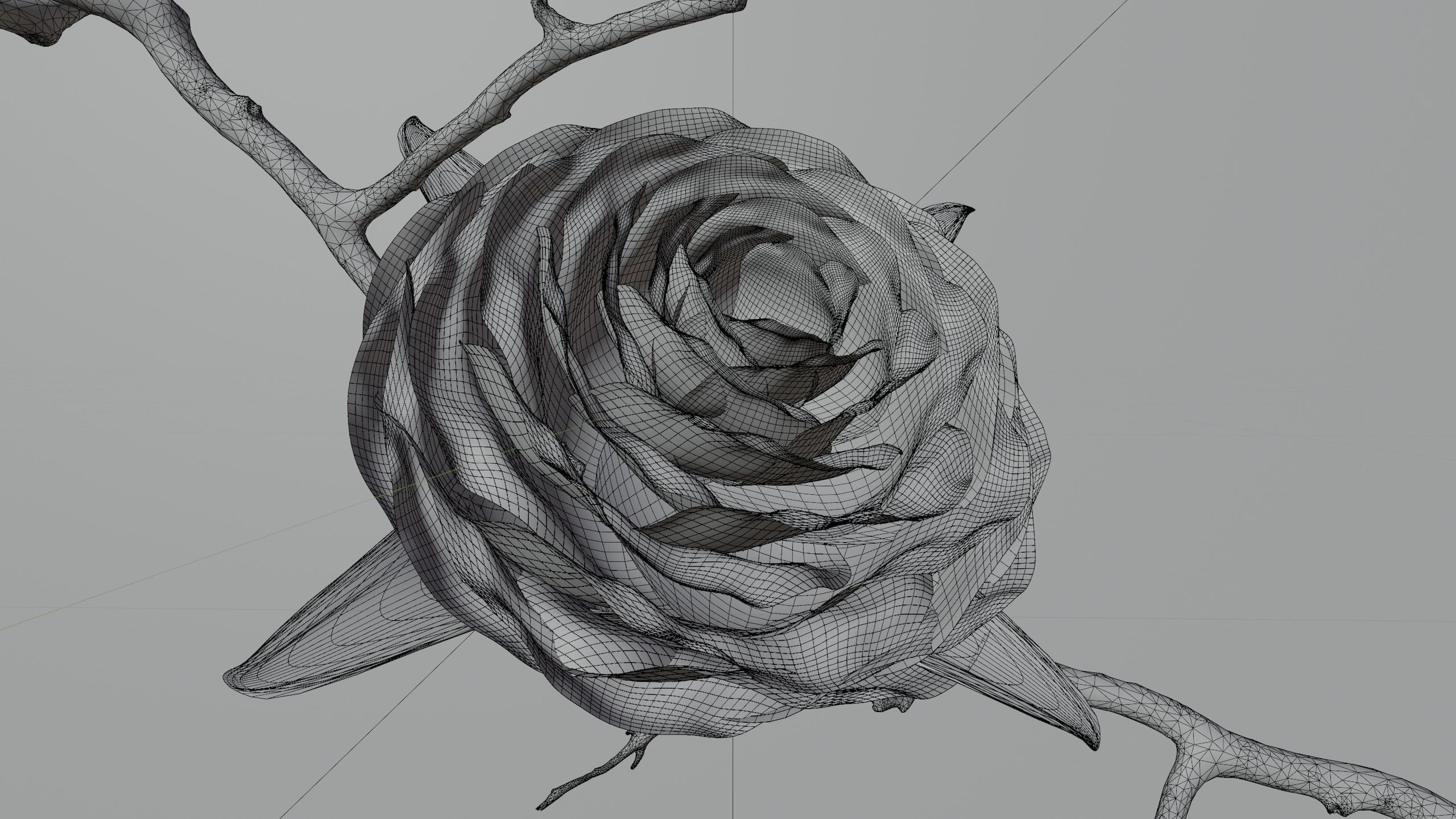 Blooming Rose Animation 3D model_5