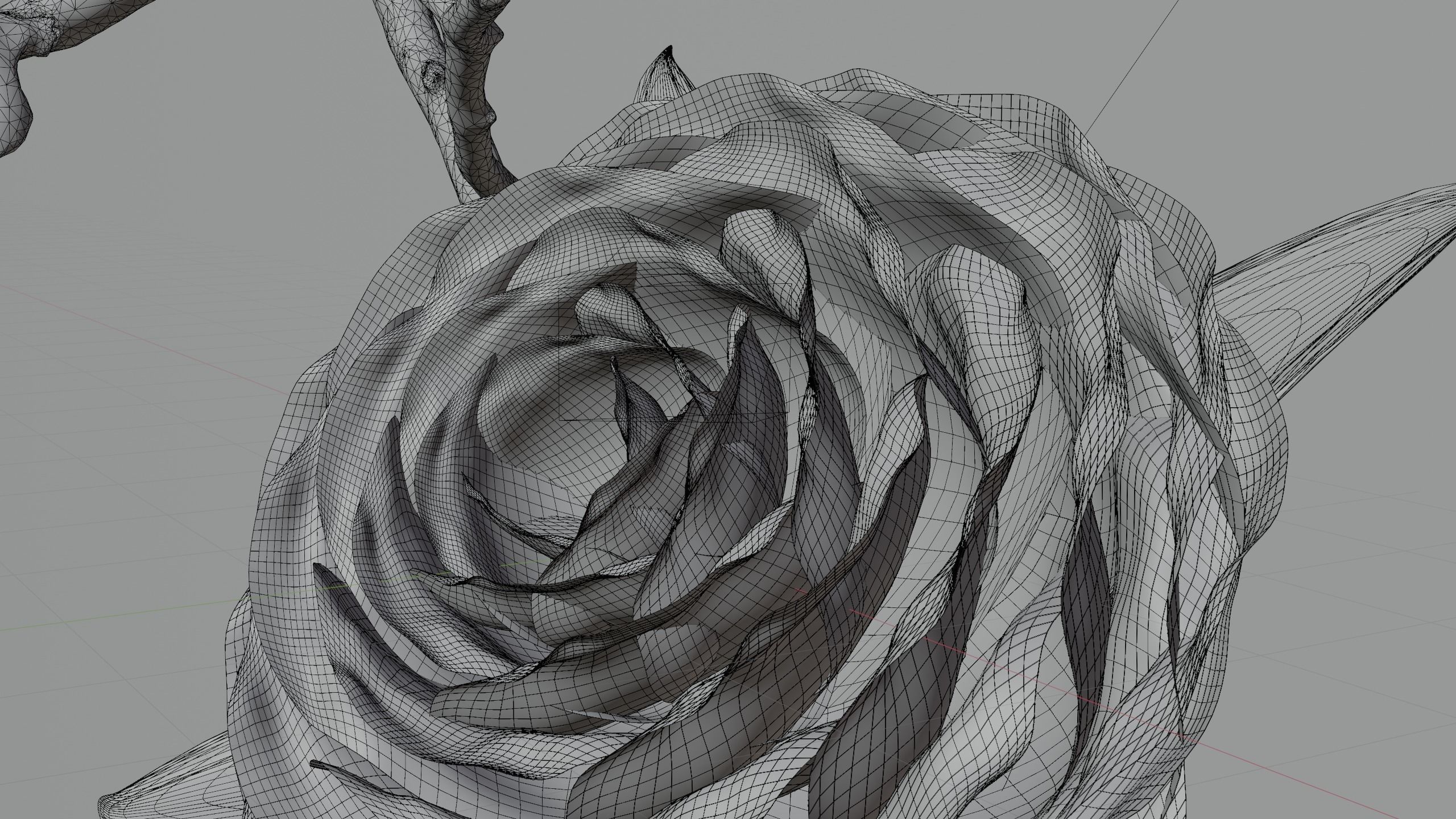 Blooming Rose Animation 3D model_9