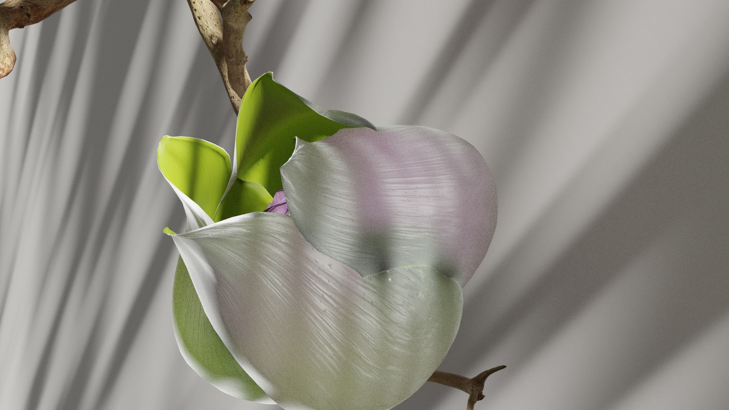 Blooming Rose Animation 3D model_2