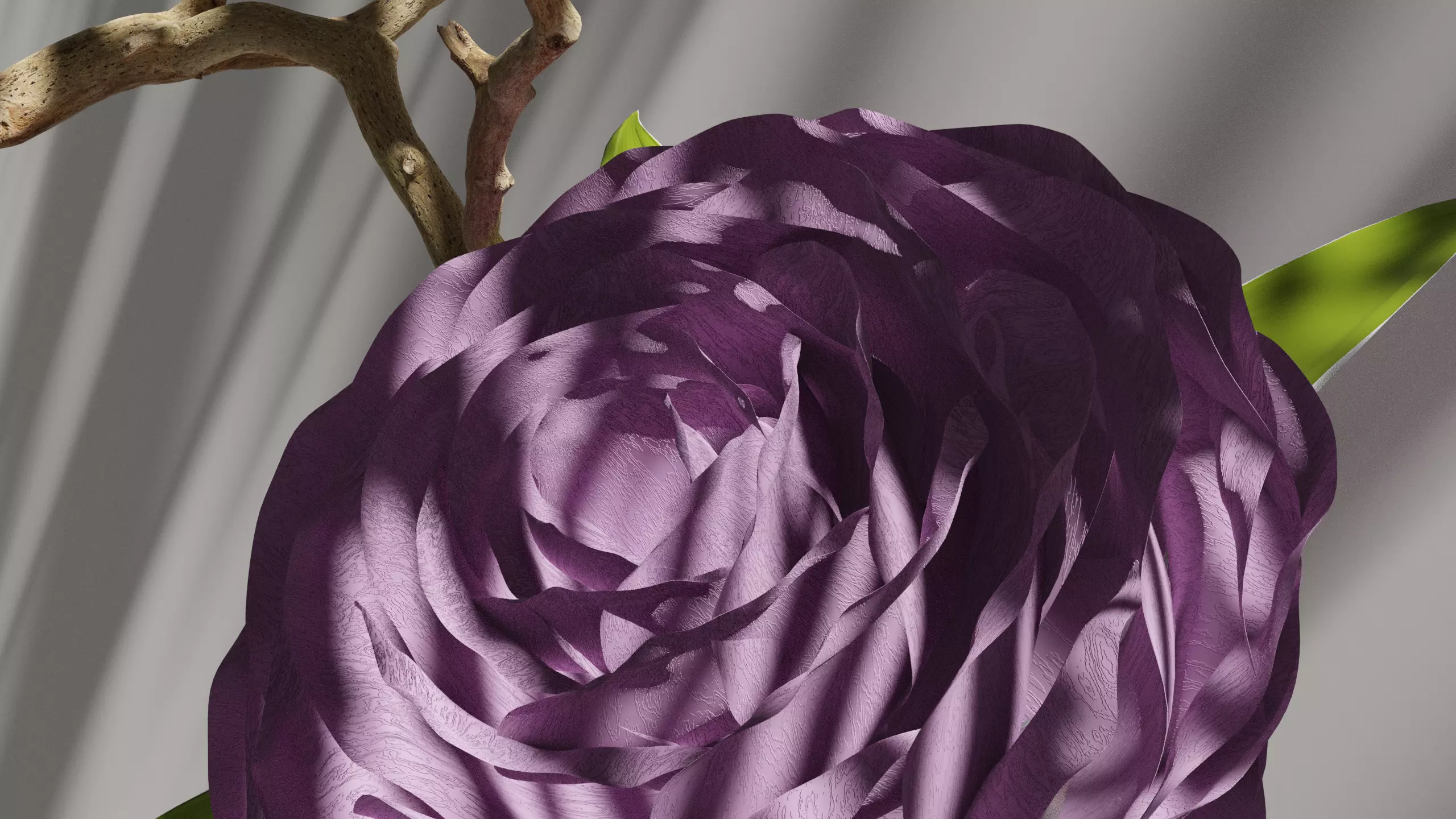 Blooming Rose Animation 3D model_0