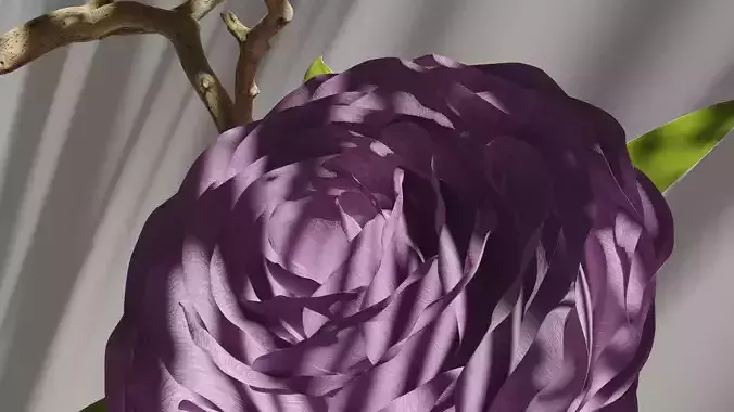 Blooming Rose Animation