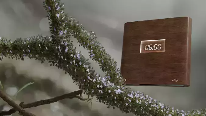 Flower Growth and Alarm Clock Animation