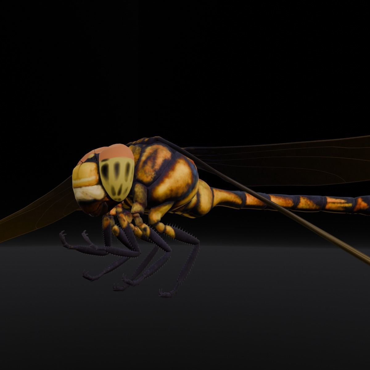 Dragonfly Animated 3D Model Low-poly 3D model_14