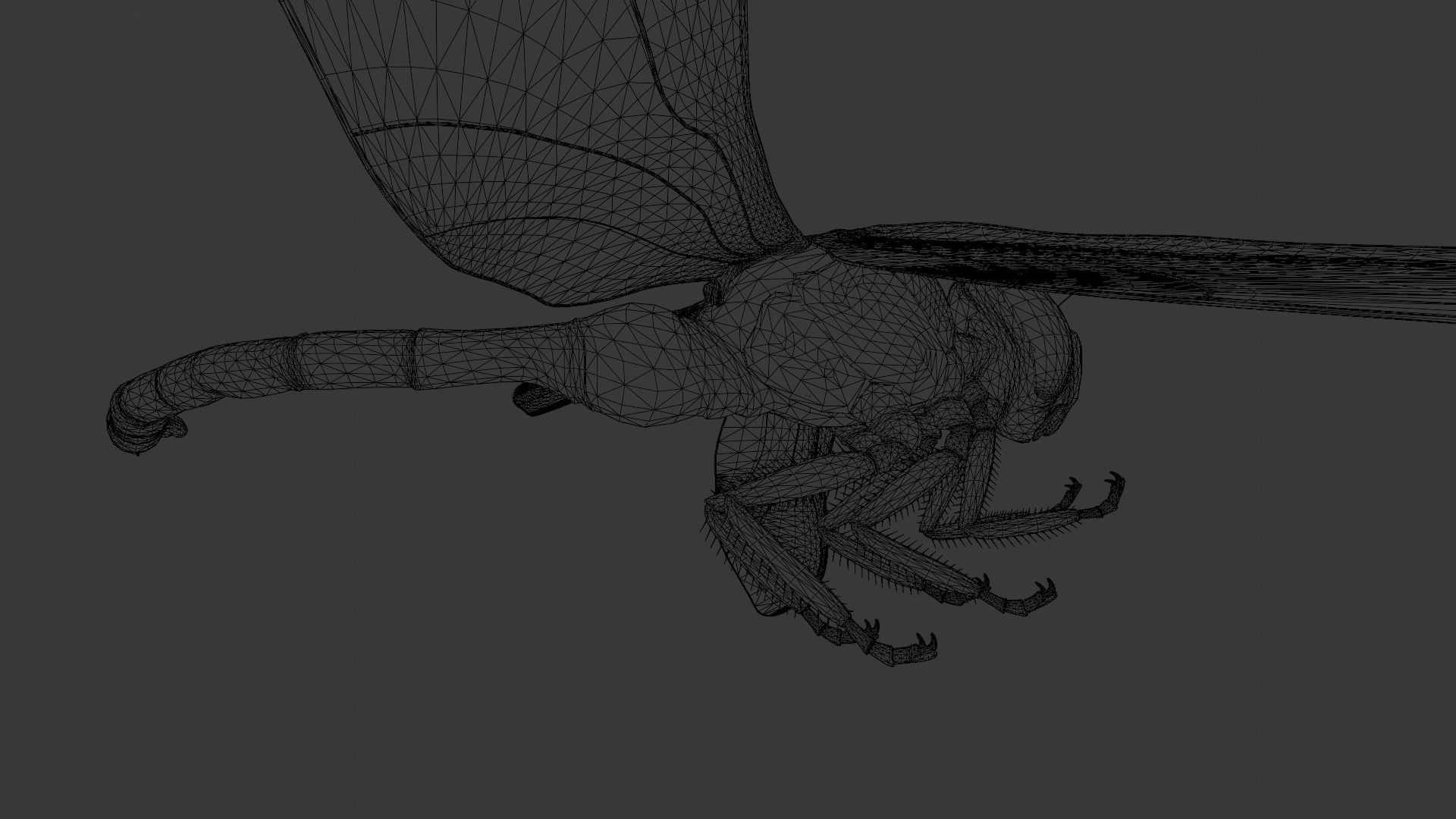 Dragonfly Animated 3D Model Low-poly 3D model_19
