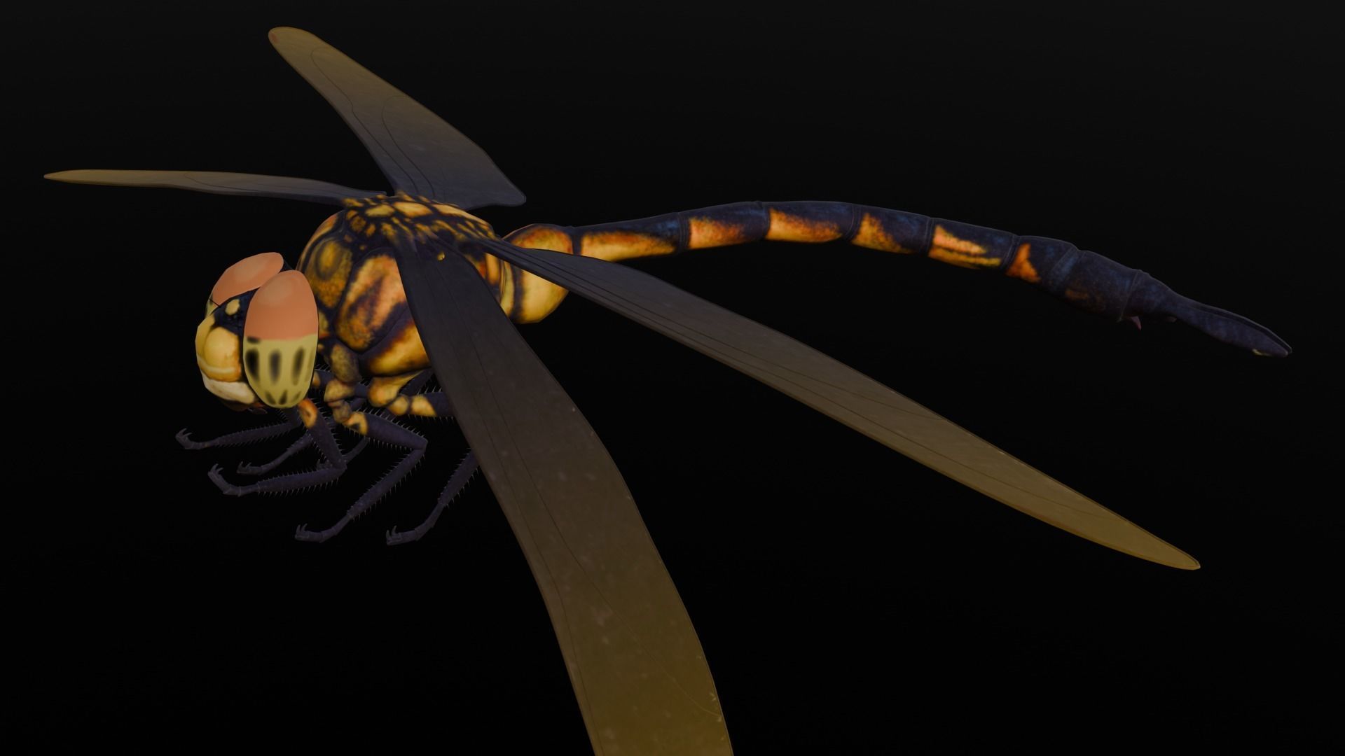 Dragonfly Animated 3D Model Low-poly 3D model_21