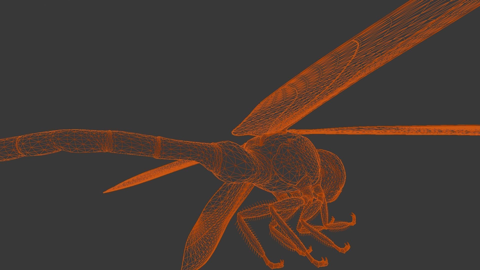 Dragonfly Animated 3D Model Low-poly 3D model_20