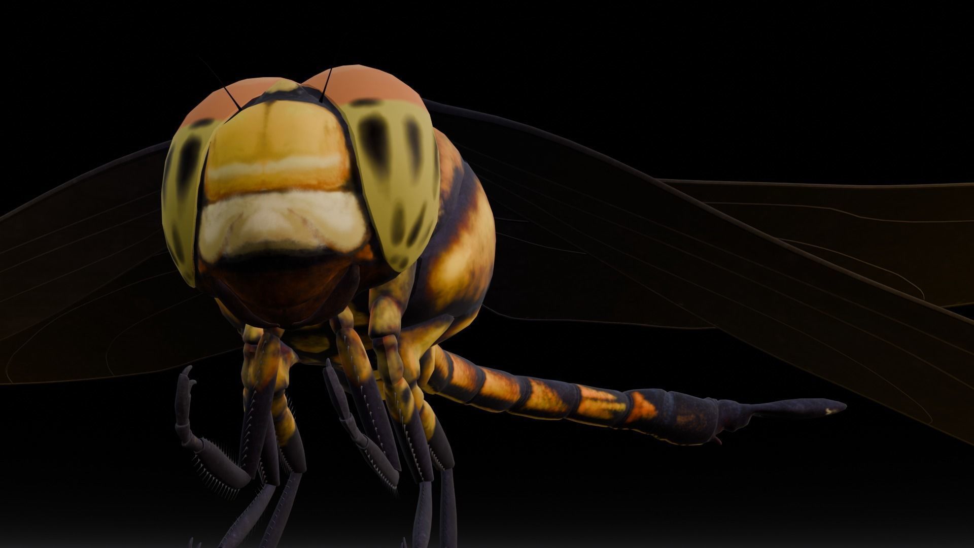 Dragonfly Animated 3D Model Low-poly 3D model_8