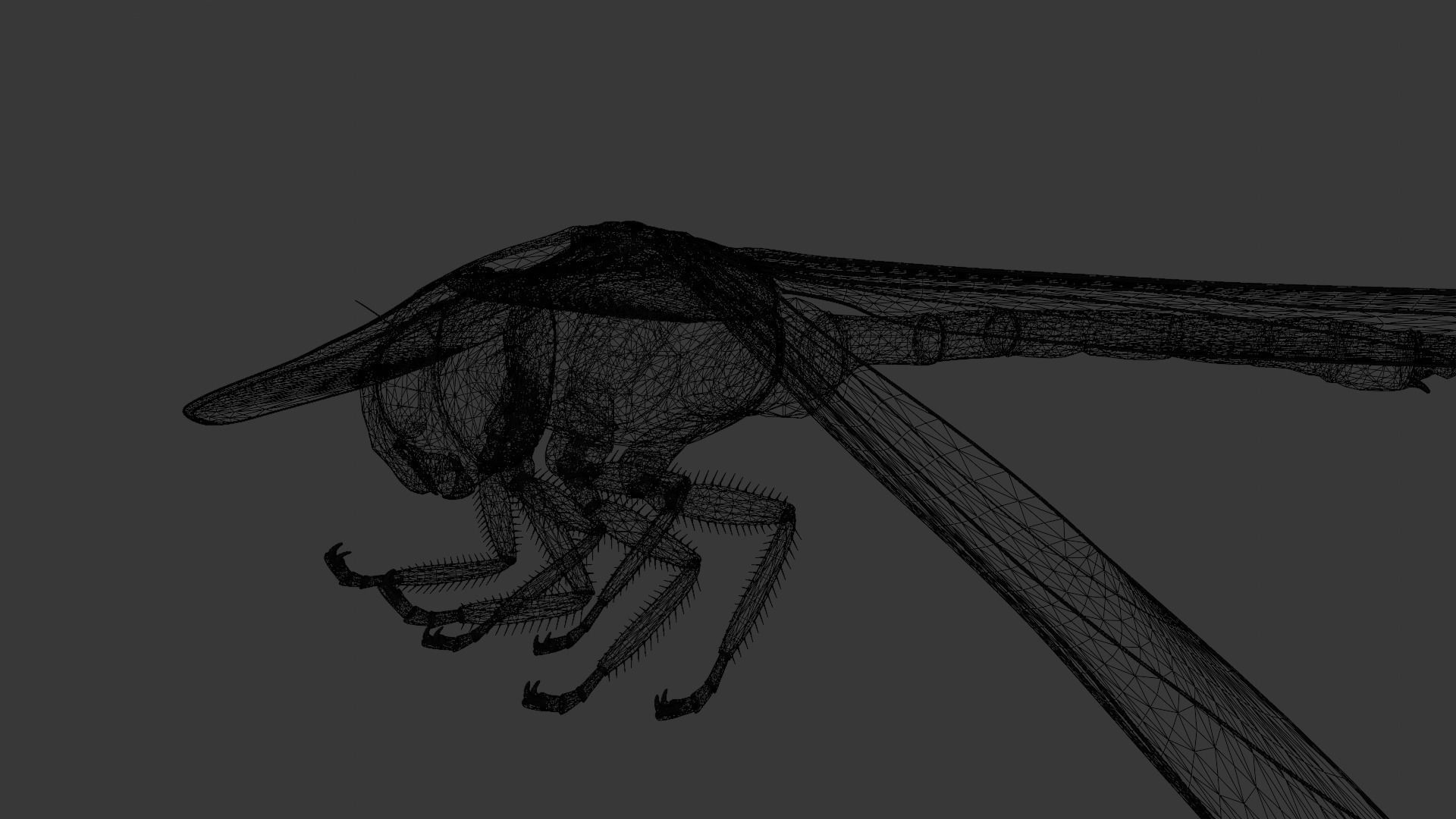 Dragonfly Animated 3D Model Low-poly 3D model_15