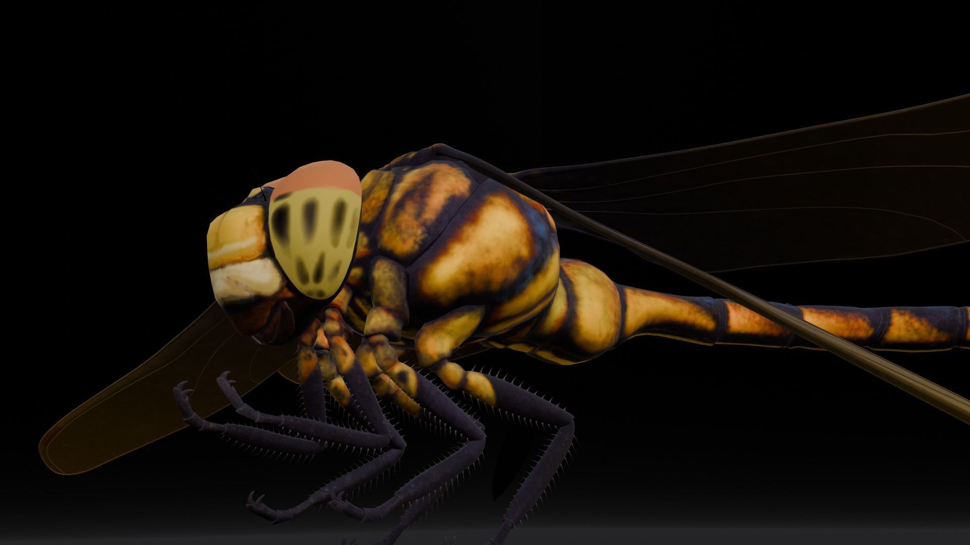 Dragonfly Animated 3D Model Low-poly 3D model_7