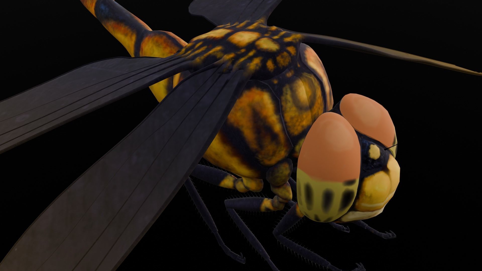 Dragonfly Animated 3D Model Low-poly 3D model_3