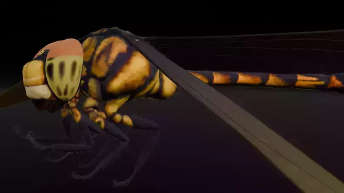 Dragonfly Animated 3D Model Low-poly 3D model