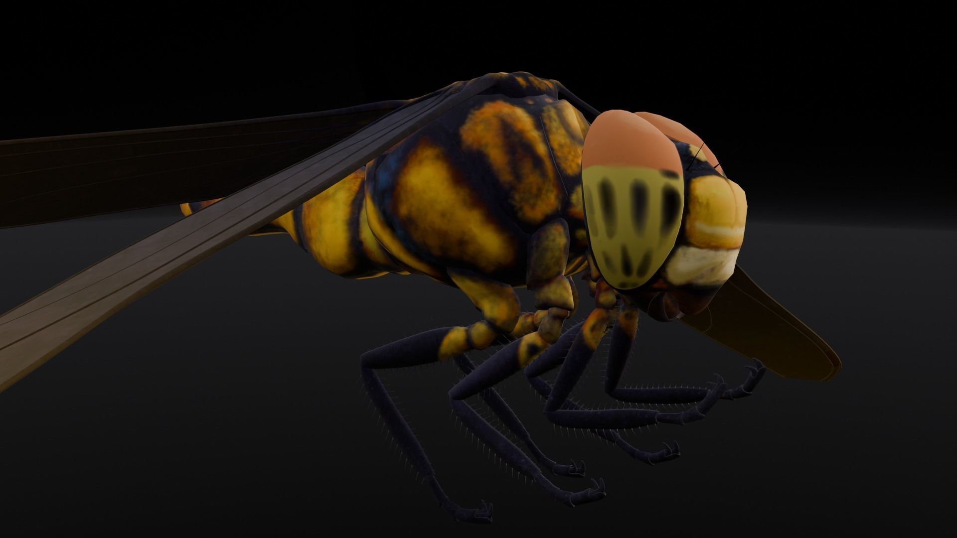 Dragonfly Animated 3D Model Low-poly 3D model_22