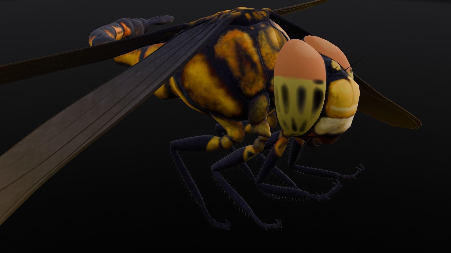 Dragonfly Animated 3D Model Low-poly 3D model_1