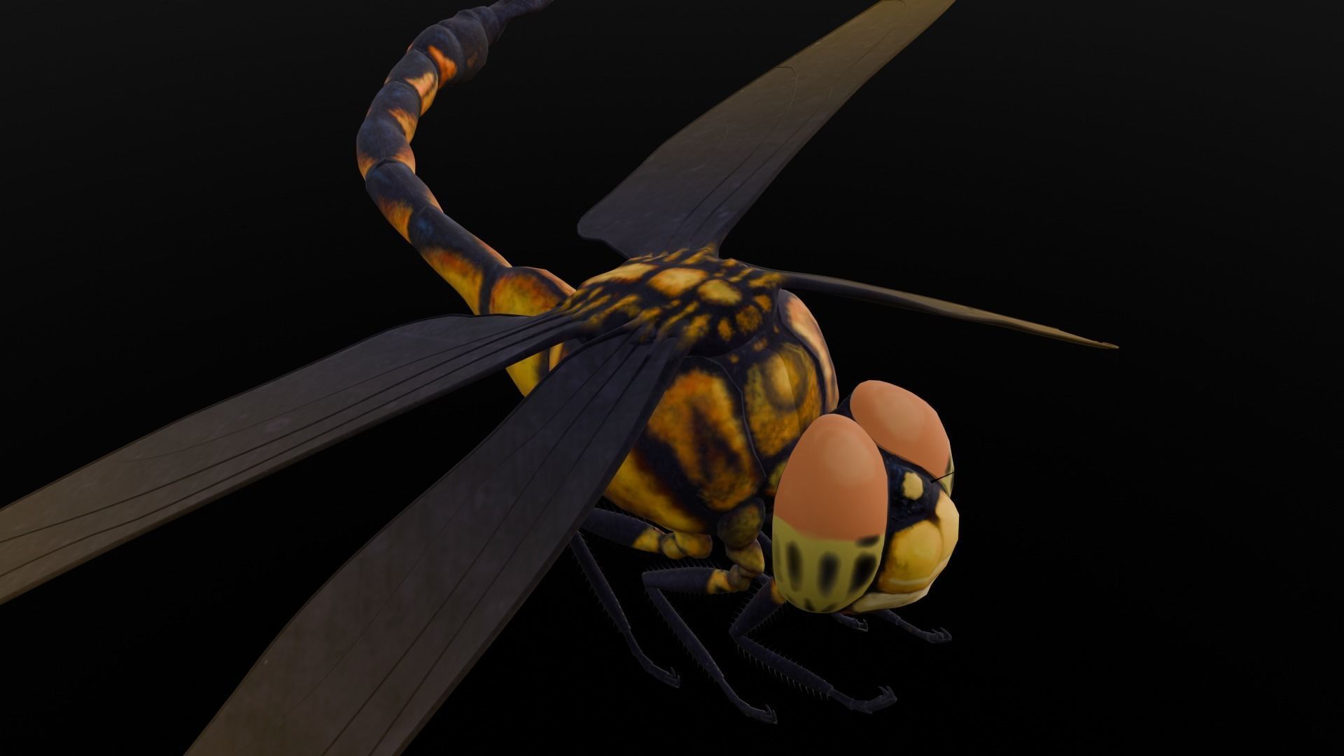 Dragonfly Animated 3D Model Low-poly 3D model_5