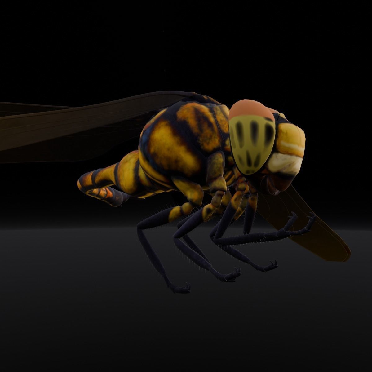 Dragonfly Animated 3D Model Low-poly 3D model_12