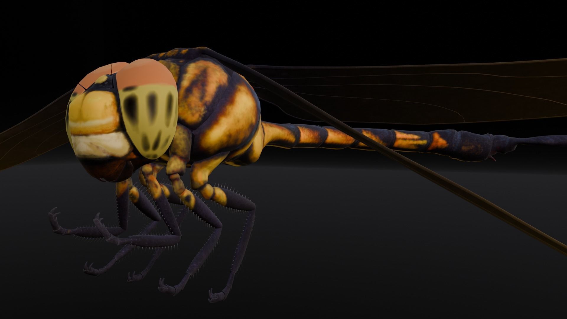 Dragonfly Animated 3D Model Low-poly 3D model_2