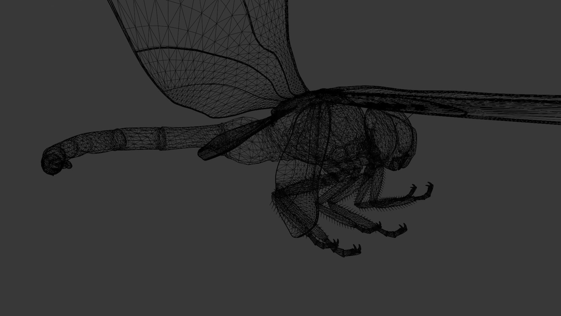 Dragonfly Animated 3D Model Low-poly 3D model_18