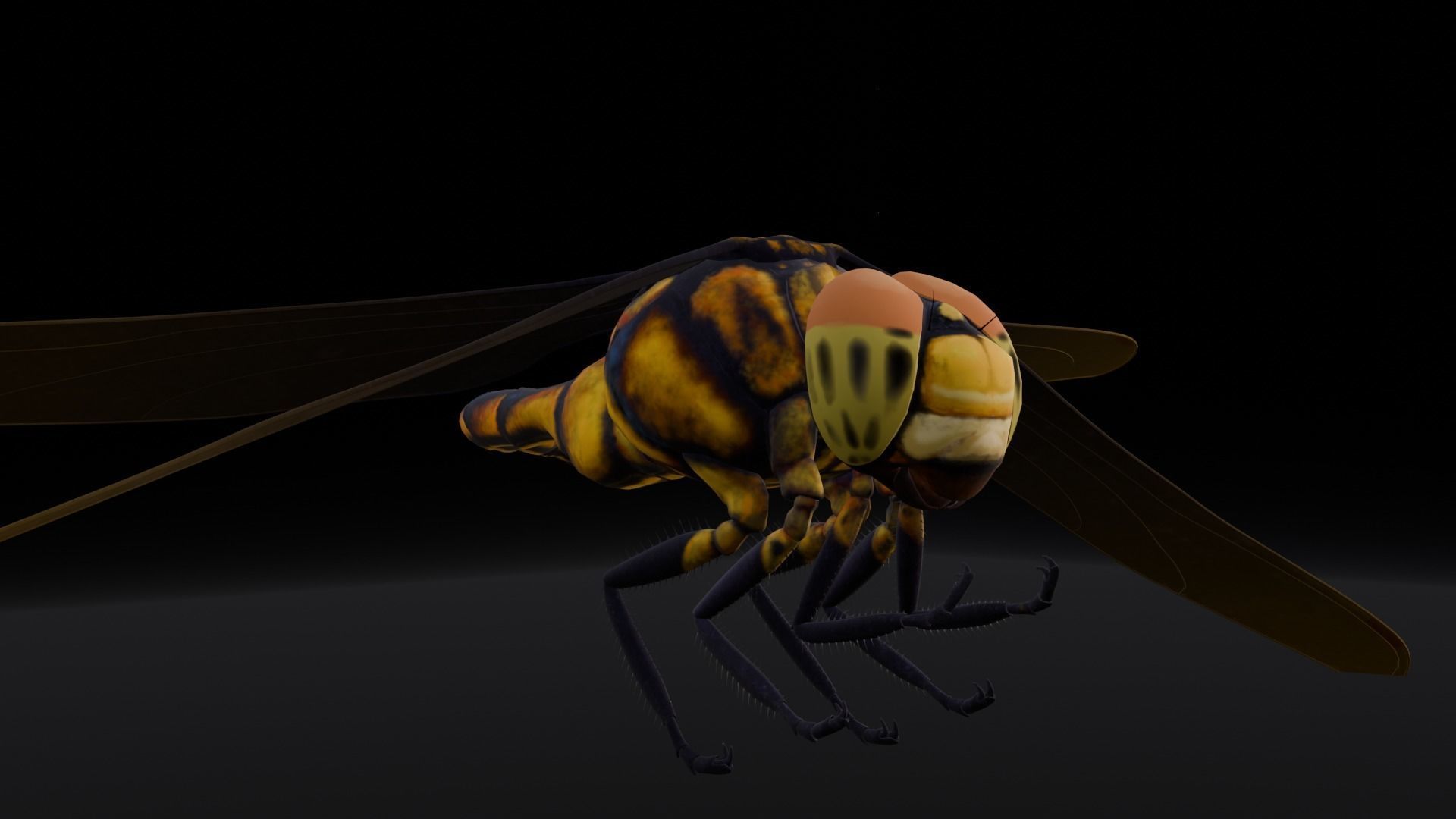 Dragonfly Animated 3D Model Low-poly 3D model_16