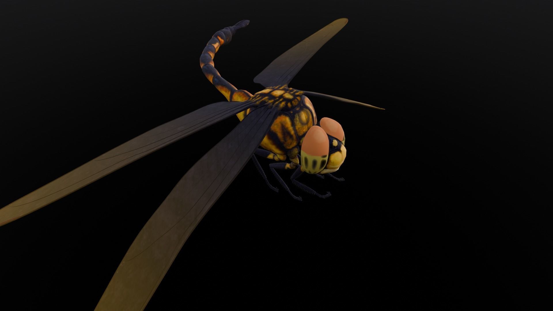 Dragonfly Animated 3D Model Low-poly 3D model_9