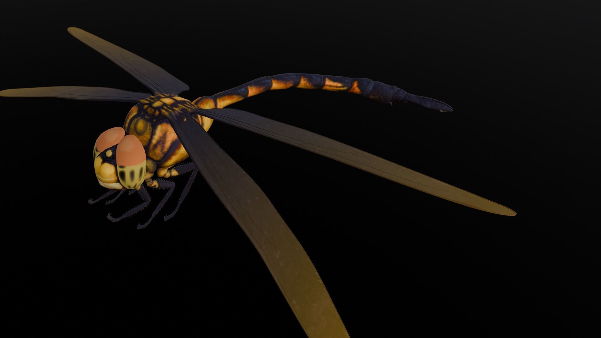 Dragonfly Animated 3D Model Low-poly 3D model_11