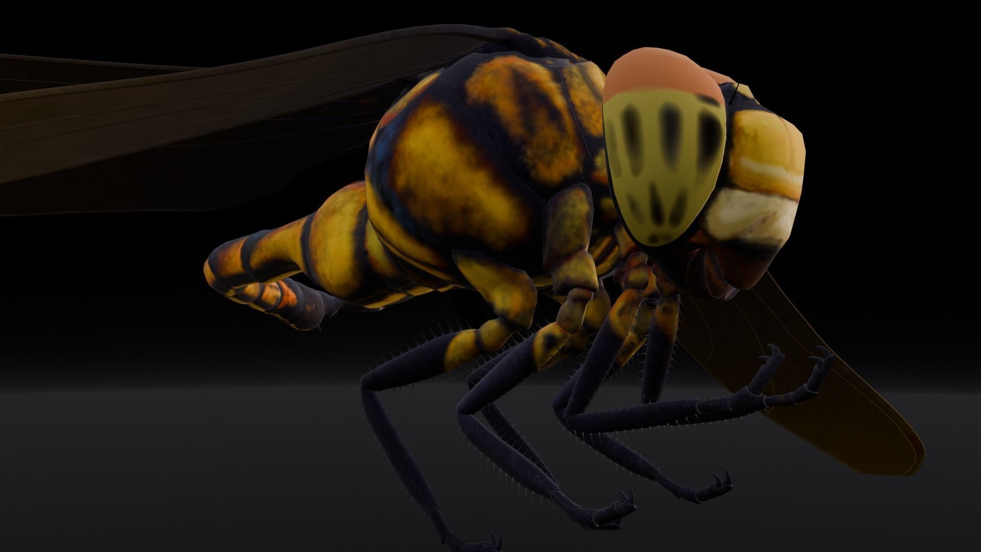 Dragonfly Animated 3D Model Low-poly 3D model_4