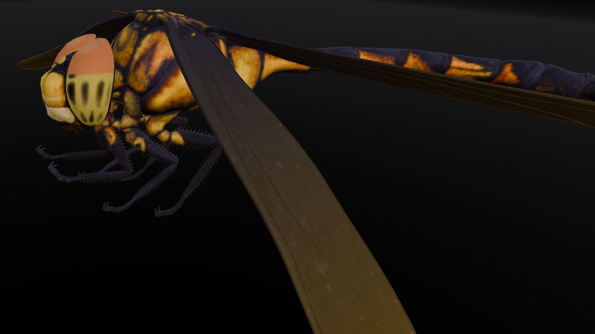 Dragonfly Animated 3D Model Low-poly 3D model_10