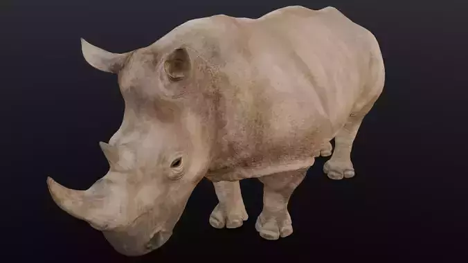 Behemoth Animated 3D Model Low-poly 3D model
