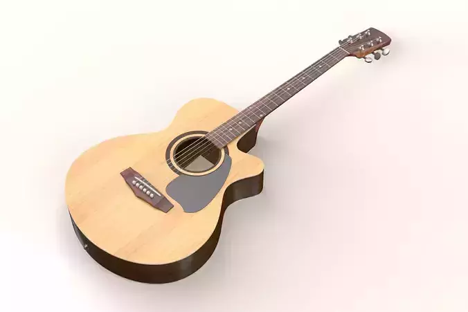 Classic Acoustic Guitar