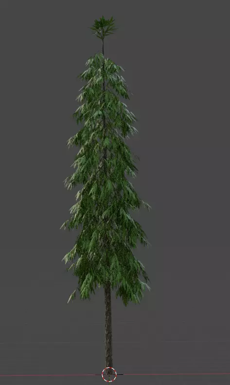 polygonia longifolium Plant 3D model - Asopalav Tree 3D model 3D model_0