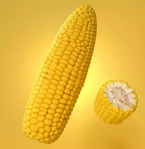 Photorealistic Corn 3D model
