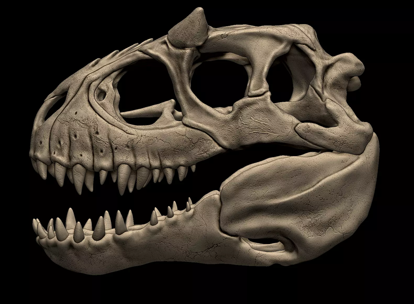 Indominus Rex Skull 3D print model_0